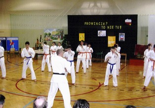 Sekcja karate prezentuje swoje umiejętno¶ci.